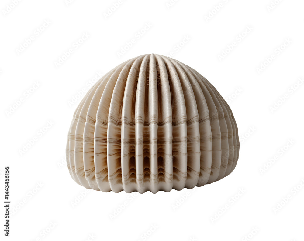Poster isolated artistic representation of a ridged shell structure offering a detailed view of its intrica