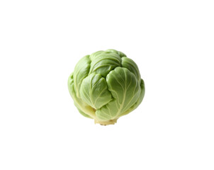 Fototapeta premium Isolated Brussels Sprout with Glistening Buds, A Close-Up View of Freshness and Detail Revealing Nature's Intricate Design and Culinary Potential