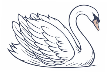 swan on the water