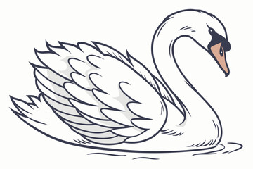 swans on the lake