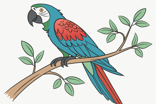 parrot on branch