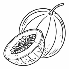vector illustration of an orange fruit