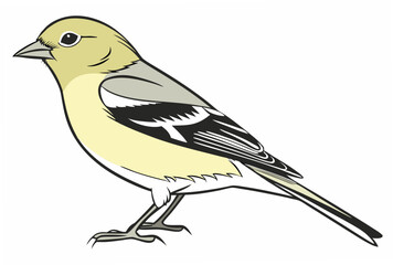 bird on branch