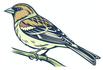 bird on branch