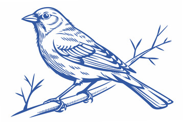 blue bird on a branch