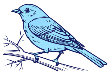 bird on a branch
