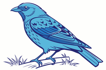 bird on a branch