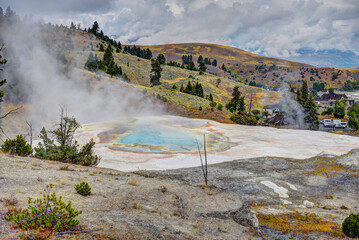 Mammoth Hot Springs Travertine Terraces, Yellowstone National Park, Park County, Wyoming