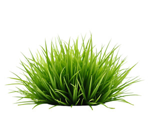 Obraz premium Lush Green Grass Clump on Isolated Plain White Background, A Vibrant Element for Natural Designs and Creative Projects, Perfect for Adding Freshness