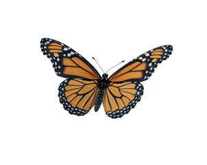Majestic Monarch, A Striking Butterfly in Flight over an Isolated Plain Showcasing Nature's Beauty and Delicate Wing Patterns Against a Subtle Backdrop
