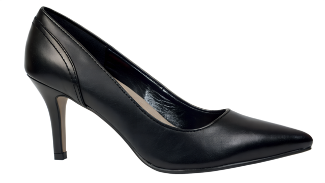 fashionable women shoe