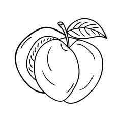 peach icon, peach vector illustration-simple illustration of peach, perfect for peach logos and icons