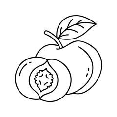 peach icon, peach vector illustration-simple illustration of peach, perfect for peach logos and icons