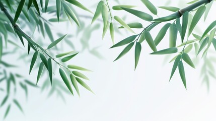 Naklejka premium Elegant bamboo leaves on light background creating natural tranquility
