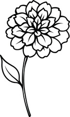 line art marigold with the stem wrapping around it 