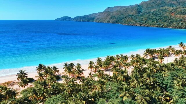 Aerial view of palm beach and turquoise Caribbean Sea. Tropical mountainous island in tourist area of ​​Dominican Republic. Bright alms on wild beach. Seascape. Travel to tropical paradise.