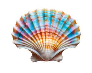 Fototapeta premium Sunrise hues on a seashell treasure, An isolated tellin shell glows with pastel colors, reminiscent of a serene sunrise, a beautiful creation of nature's artistry