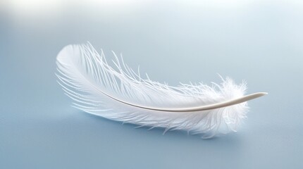 Obraz premium The image features a delicate white feather on a soft blue surface, capturing intricate details and texture, with a serene, airy, and minimalist aesthetic.