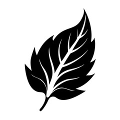 Monochrome Leaf Illustration with Detailed Veins and Serrated Edge Design