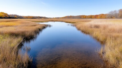 Tranquil autumnal marsh waterway.  Reflecting autumn colors in serene water.  Abundant marsh grasses border a calm waterway