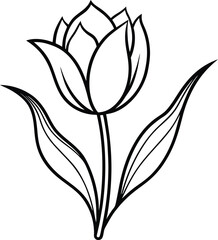 delicate line art blooming tulip