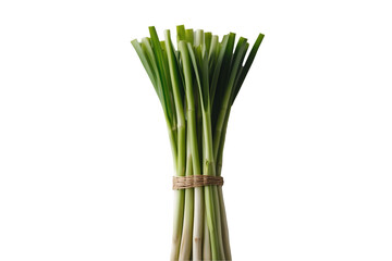 Fototapeta premium Vibrant Lemongrass Stalks Tied Together, An Isolated Bundle Showcasing Freshness and Natural Beauty on a Plain Background for Culinary and Aromatic Use