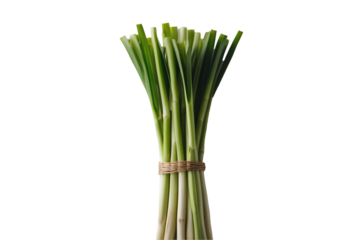 Vibrant Lemongrass Stalks Tied Together, An Isolated Bundle Showcasing Freshness and Natural Beauty on a Plain Background for Culinary and Aromatic Use