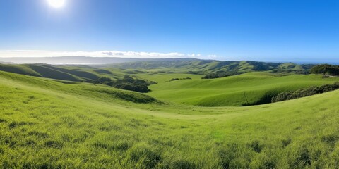 Fototapeta premium A large, open field with a bright blue sky. The grass is lush and green, and the sun is shining brightly. Concept of peace and tranquility, as if one were standing in the middle of a vast