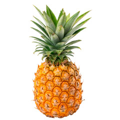 Whole Ripe Pineapple Isolated on White Background. PNG File