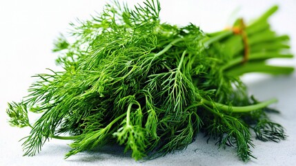 Fototapeta premium Fresh Green Dill Herbs Bunch for Cooking and Culinary Use