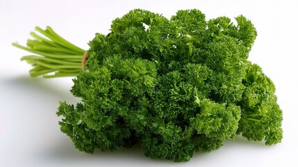 Fototapeta premium Fresh Green Parsley Bunch with Vibrant Healthy Leaves on White Background