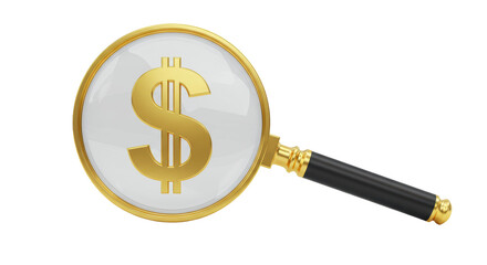 Isolated Magnifying Glass Dollar Sign