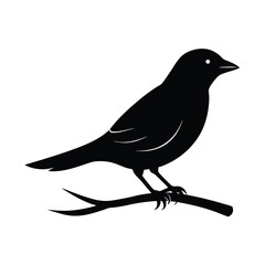 Obraz premium Simple Bird on Branch Vector Silhouette