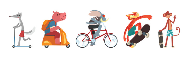 Cute Animal Character Riding Different Transport Vector Set © topvectors