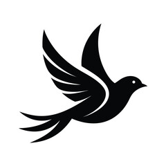 Obraz premium Smooth Flying Bird Outline Vector