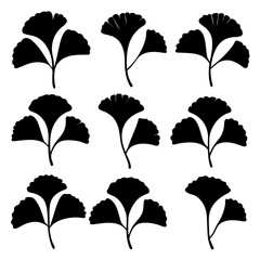 Ginkgo Biloba Leaf Silhouettes Vector Set on White Background

