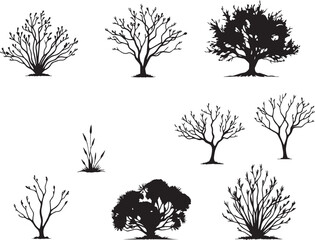 Obraz premium A set of shrubs, bushes, trees. Hand drawn vector illustration