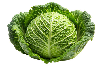 Fototapeta premium A Cabbage Isolated on Transparent or White Background, PNG