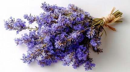 Fototapeta premium Freshly Gathered Lavender Bouquet on Light Background