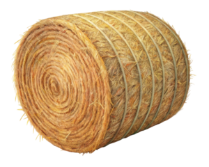 Isolated hay bale roll with natural straw texture and twine on a plain transparent background