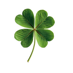 Four leaf clover isolated on transparent background