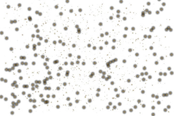 Soft glowing bokeh lights sparkle continuously, creating dreamy ambiance. Golden confetti showers gently, enhancing luxurious digital artwork. Transparent luminous dust sways elegantly, filling space 