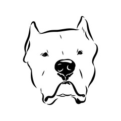 Argentine Great Dane vector sketch beautiful Great Dane line art images