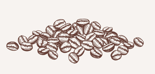 Coffee beans background. Banner with roasted Robusta or Arabica beans for coffee drink. Doodle design element for packaging. Hand drawn outline vector illustration