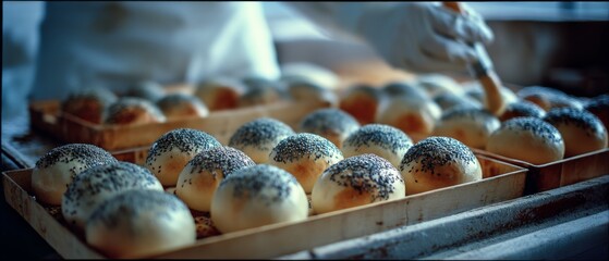The gloved hand of a baker carefully brushes egg wash on seeded rolls, shining in the bakery's inviting light, promising warmth and flavor.