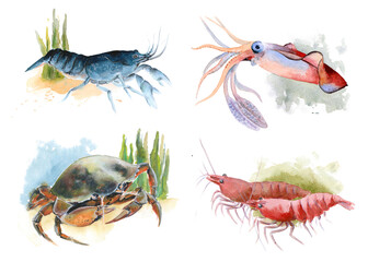 The animal world of the seas and oceans. A set of watercolor illustrations