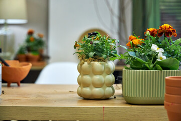 modern creative clay pots with flowers stand on the table in the interior