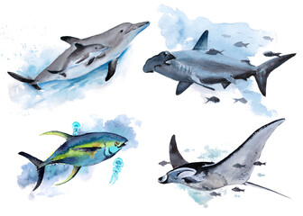 The animal world of the seas and oceans. A set of watercolor illustrations