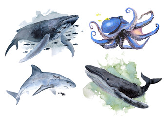 The animal world of the seas and oceans. A set of watercolor illustrations