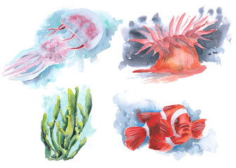 The animal world of the seas and oceans. A set of watercolor illustrations